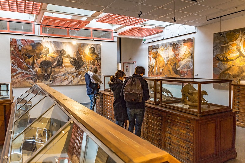 Musée de géologie